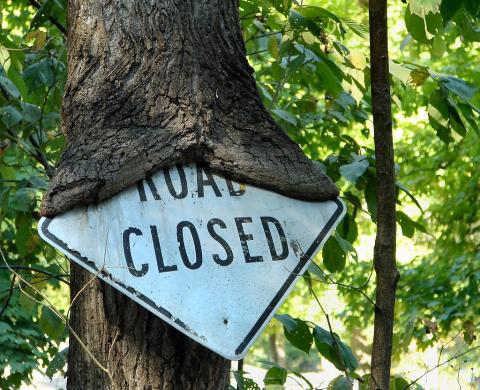 photo of tree growing around a metal "Road Closed" sign