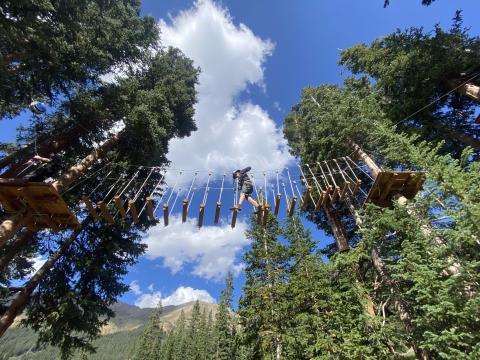 Matthew Tift on an adventure course