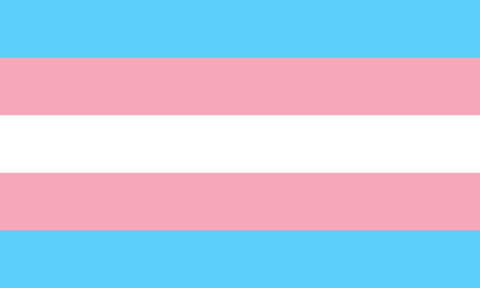 image of the official Transgender flag
