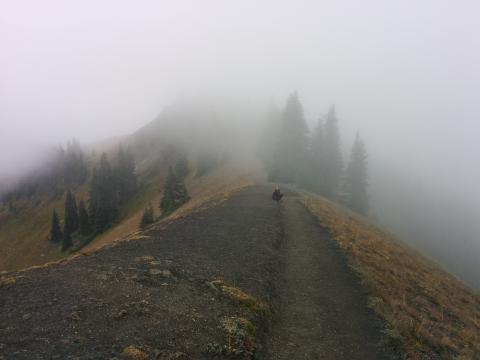 photo of a child sitting on a hilltop trail with fog in the distance obscuring the view.