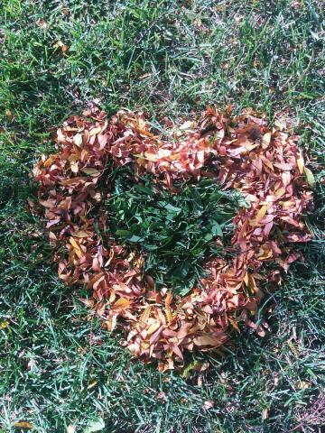 a heart shape made of small orange and red leaves on the green grass