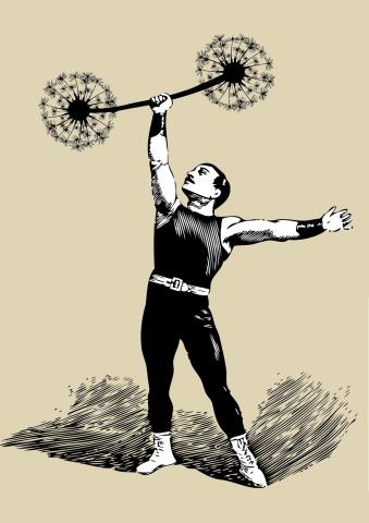 A drawing of a circus strong man, lifting a barbell made of dandelion flowers